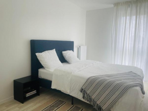 Une chambre propre & confortable dans un appartement moderne à Meaux